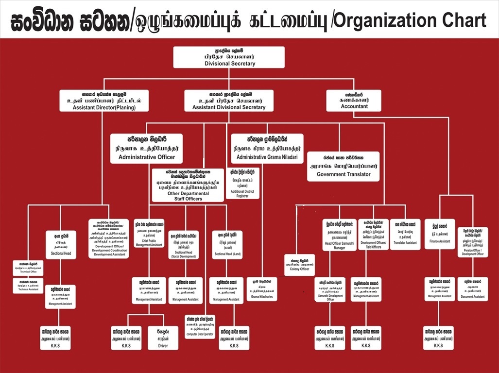 udp-organization-chart.jpg